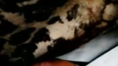 Jebeno je velika free porno 6 penisica brineta